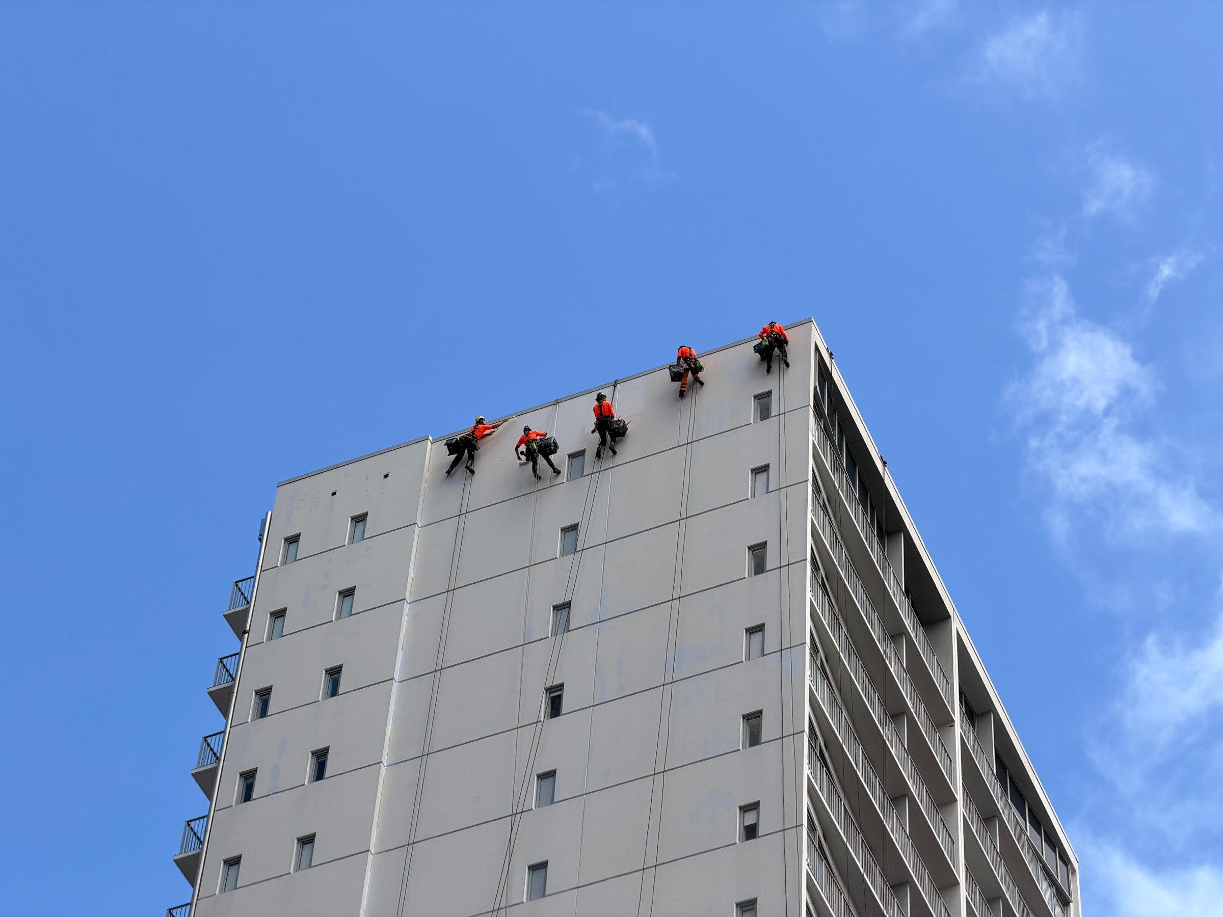 On Ropes crew spread across the corner of an Auckland apartment tower, working one elevation on ropes