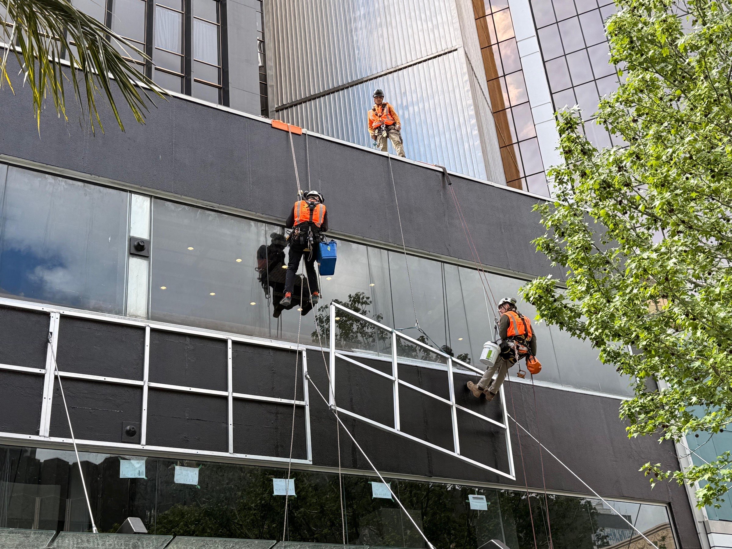 Three On Ropes technicians working a commercial elevation, two on ropes and one at the roof edge