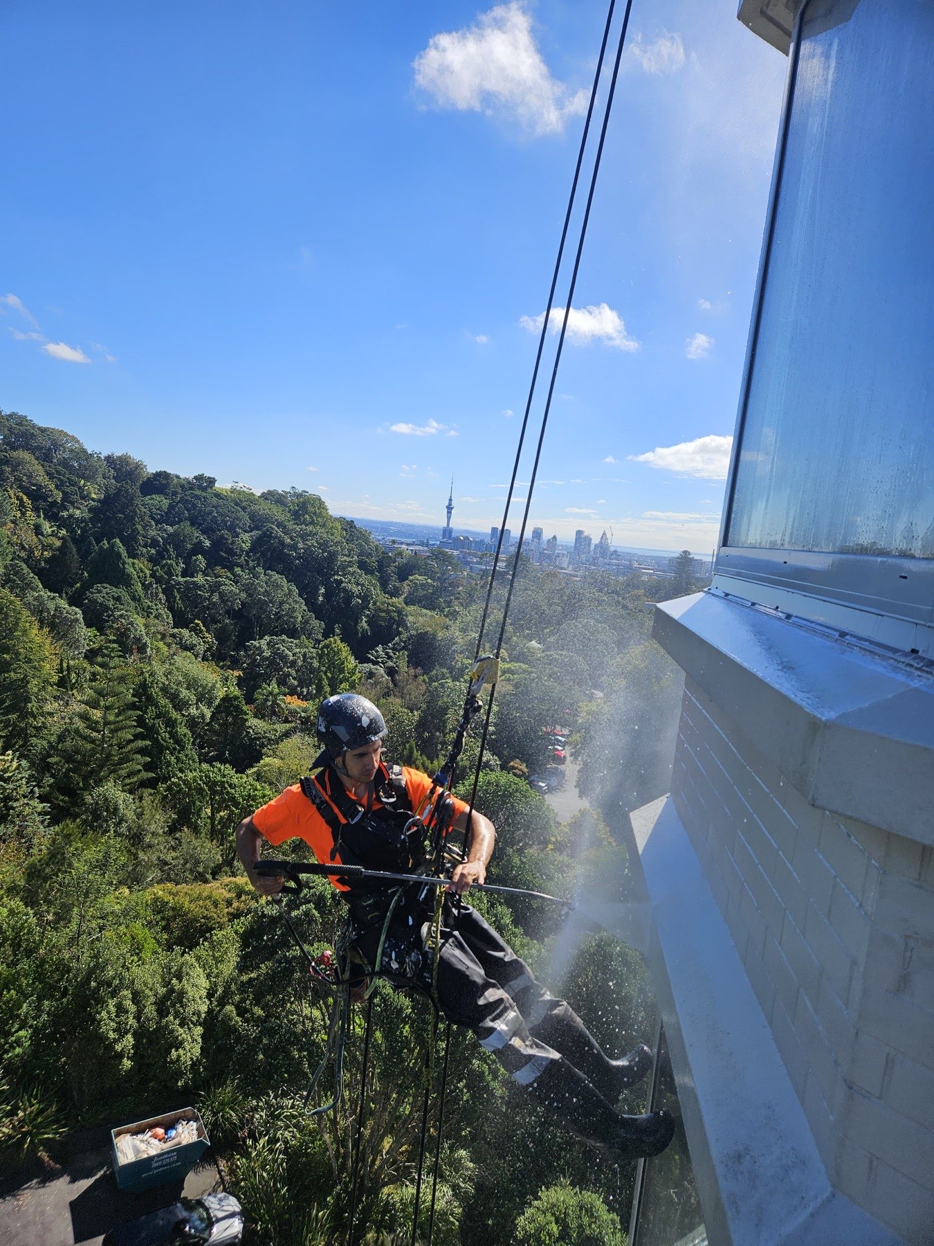 On Ropes technician washing an apartment facade above native bush, Sky Tower on the horizon