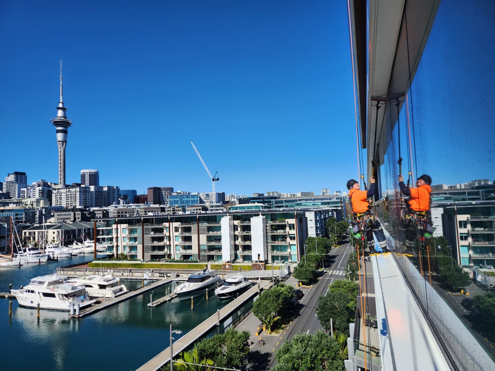 Two On Ropes technicians on twin ropes cleaning glass above the Viaduct marina, Sky Tower behind